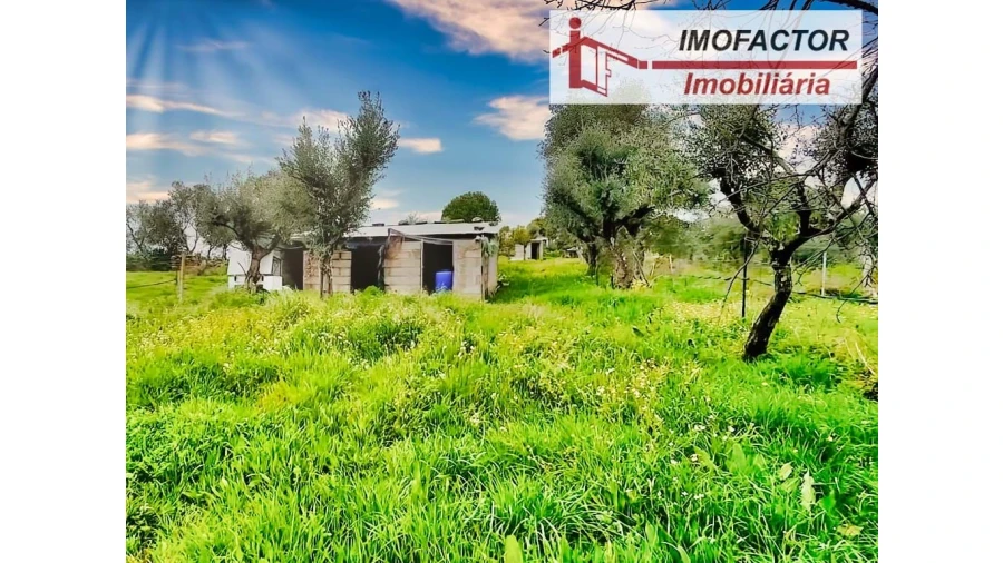 Quinta para Venda em Castelo Branco Foto 12