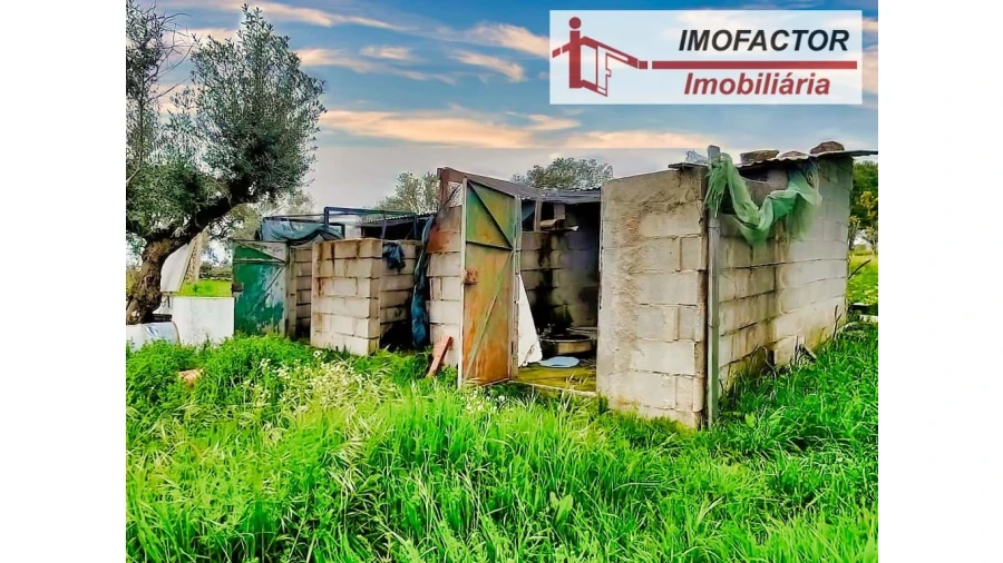 Quinta para Venda em Castelo Branco Foto 4