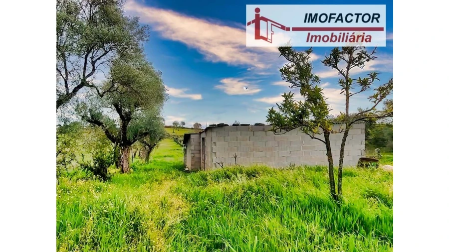 Quinta para Venda em Castelo Branco