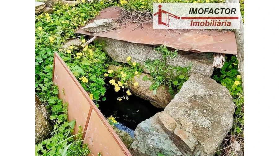 Quinta para Venda em Castelo Branco Foto 7