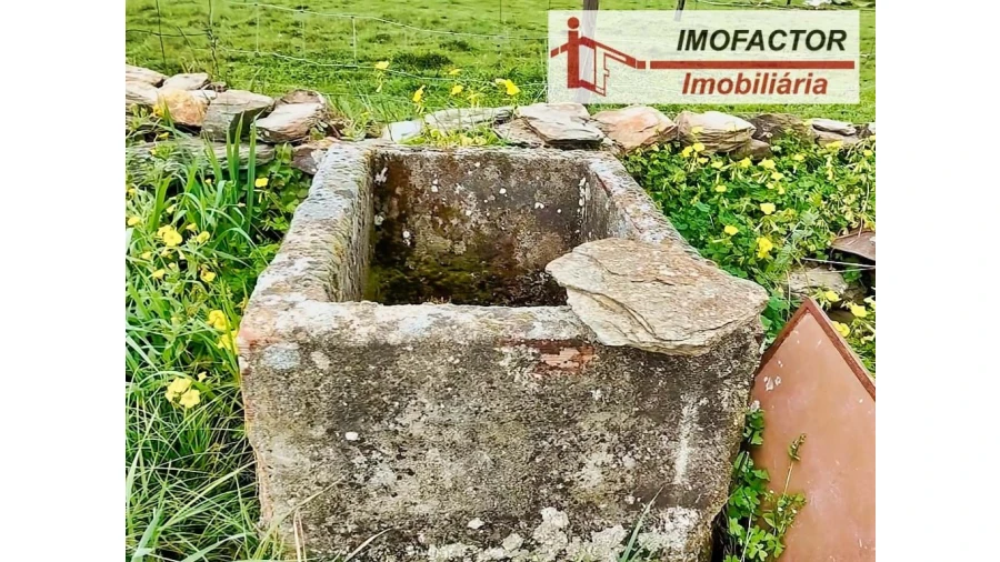 Quinta para Venda em Castelo Branco Foto 6