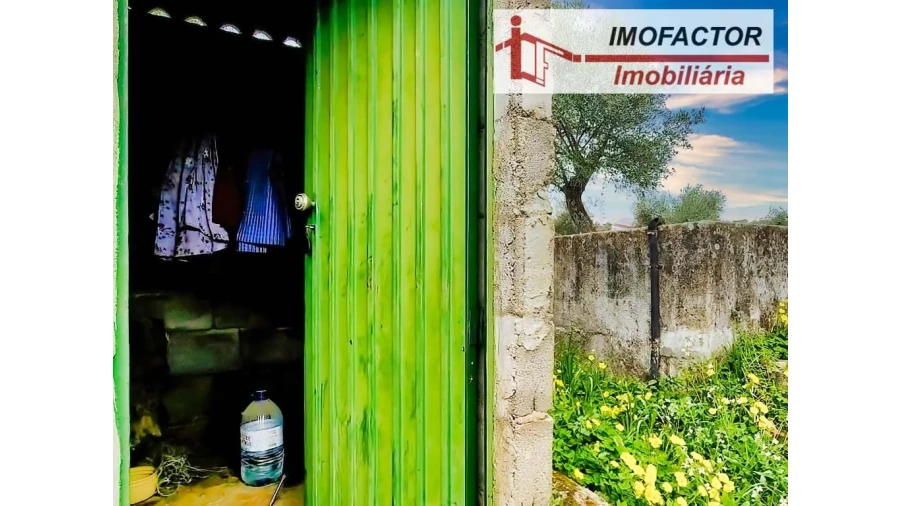 Quinta para Venda em Castelo Branco Foto 9