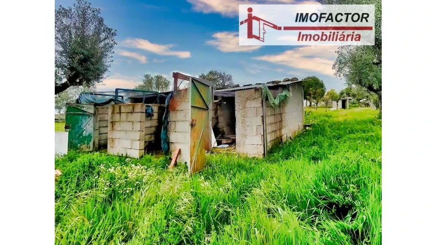 Quinta para Venda em Castelo Branco Foto 3