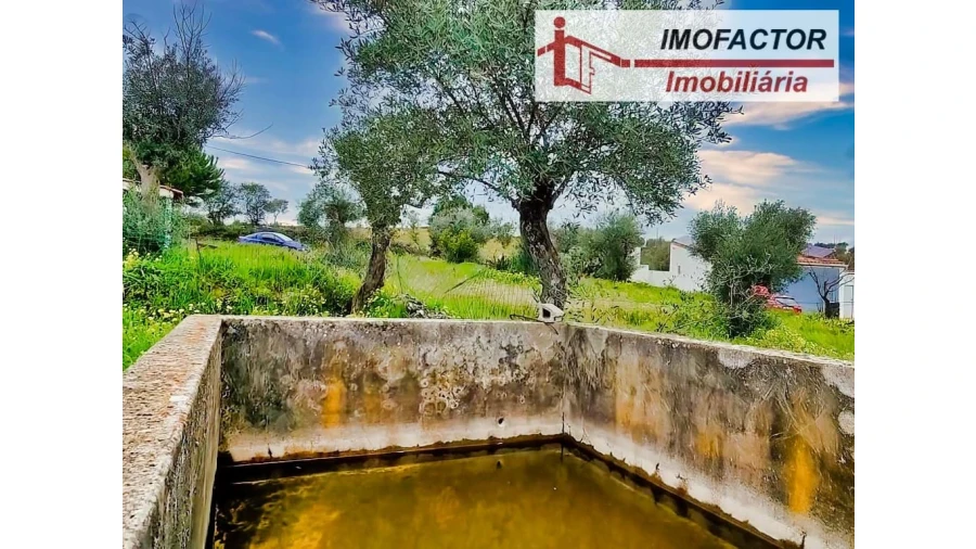 Quinta para Venda em Castelo Branco Foto 5