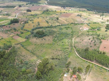 Quinta T4 para Venda em Vale de Prazeres e Mata da Rainha
