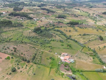 Quinta T4 para Venda em Vale de Prazeres e Mata da Rainha