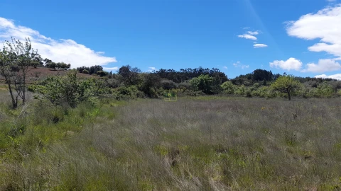Quinta T4 para Venda em Vale de Prazeres e Mata da Rainha
