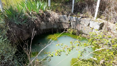 Quinta T4 para Venda em Vale de Prazeres e Mata da Rainha