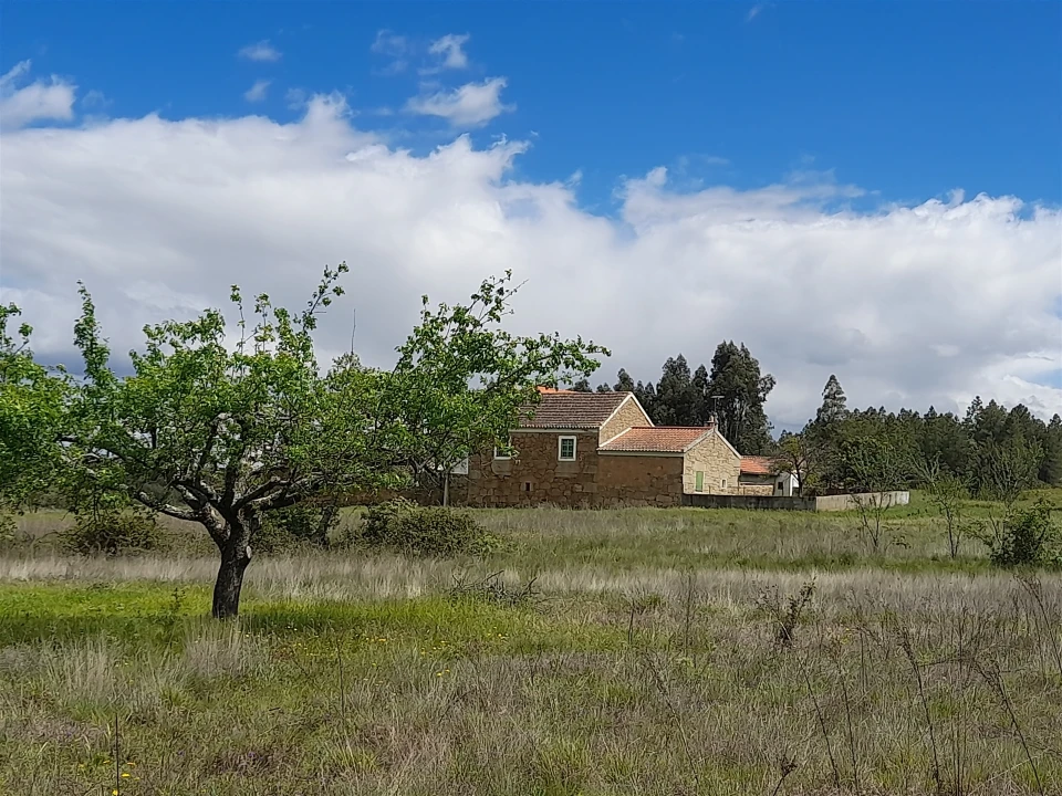 Quinta T4 para Venda em Vale de Prazeres e Mata da Rainha Foto 16