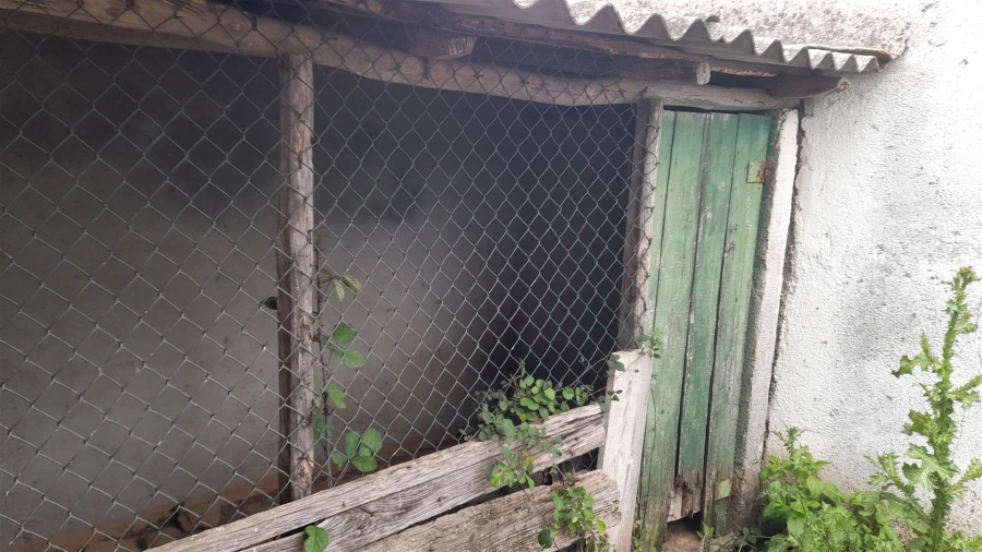 Quinta T4 para Venda em Vale de Prazeres e Mata da Rainha Foto 53