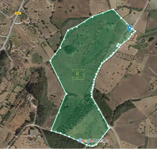Quinta T4 para Venda em Vale de Prazeres e Mata da Rainha Foto 57