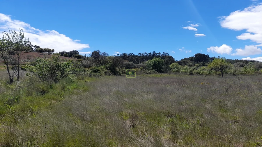 Quinta T4 para Venda em Vale de Prazeres e Mata da Rainha Foto 6