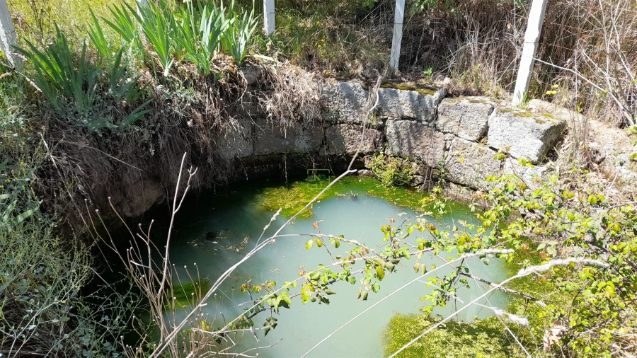 Quinta T4 para Venda em Vale de Prazeres e Mata da Rainha Foto 7