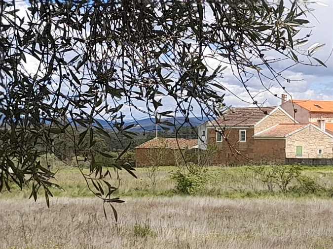 Quinta T4 para Venda em Vale de Prazeres e Mata da Rainha Foto 14