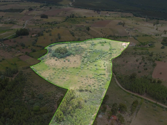Quinta T4 para Venda em Vale de Prazeres e Mata da Rainha Foto 106