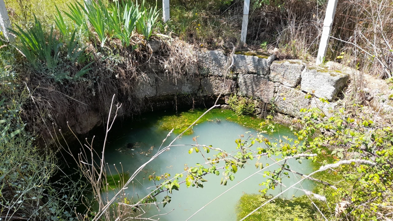 Quinta T4 para Venda em Vale de Prazeres e Mata da Rainha Foto 5