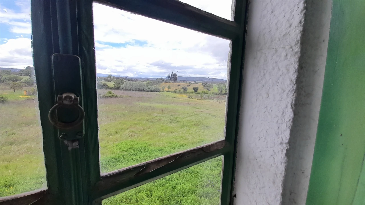 Quinta T4 para Venda em Vale de Prazeres e Mata da Rainha Foto 48