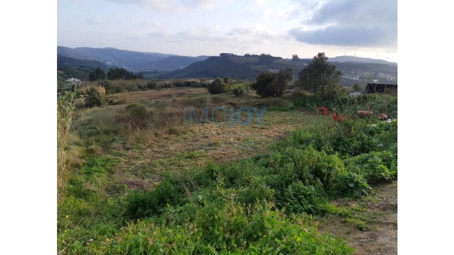 Terreno para Venda em Santo Quintino Foto 2