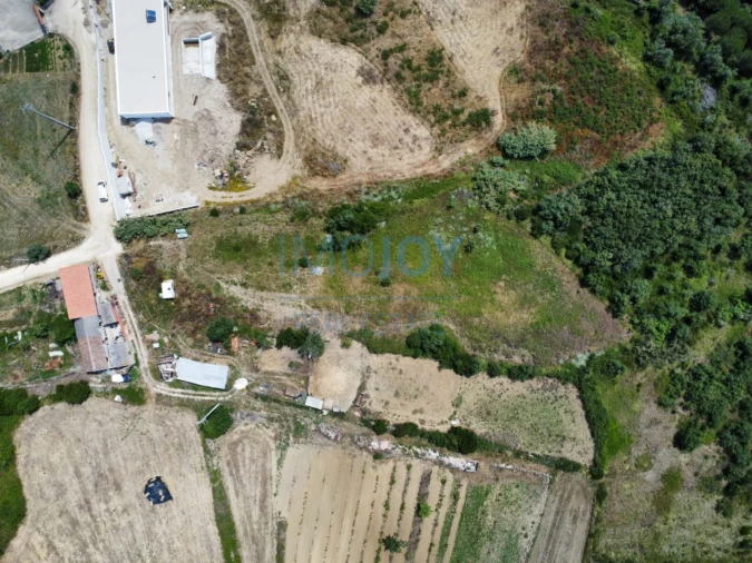 Terreno para Venda em Santo Quintino Foto 4