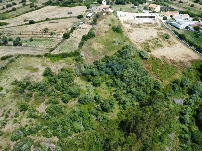 Terreno para Venda em Santo Quintino Foto 6