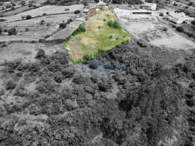 Terreno para Venda em Santo Quintino Foto 9