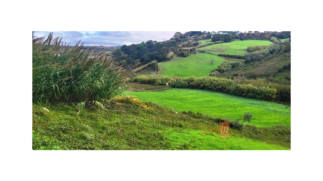 Terreno Agricola ou Rústico para Venda em Enxara do Bispo, Gradil e Vila Franca do Rosário Foto 1