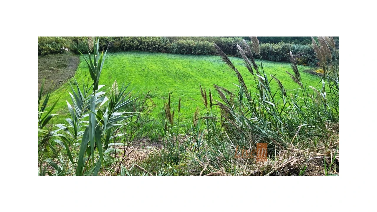 Terreno Agricola ou Rústico para Venda em Enxara do Bispo, Gradil e Vila Franca do Rosário Foto 4