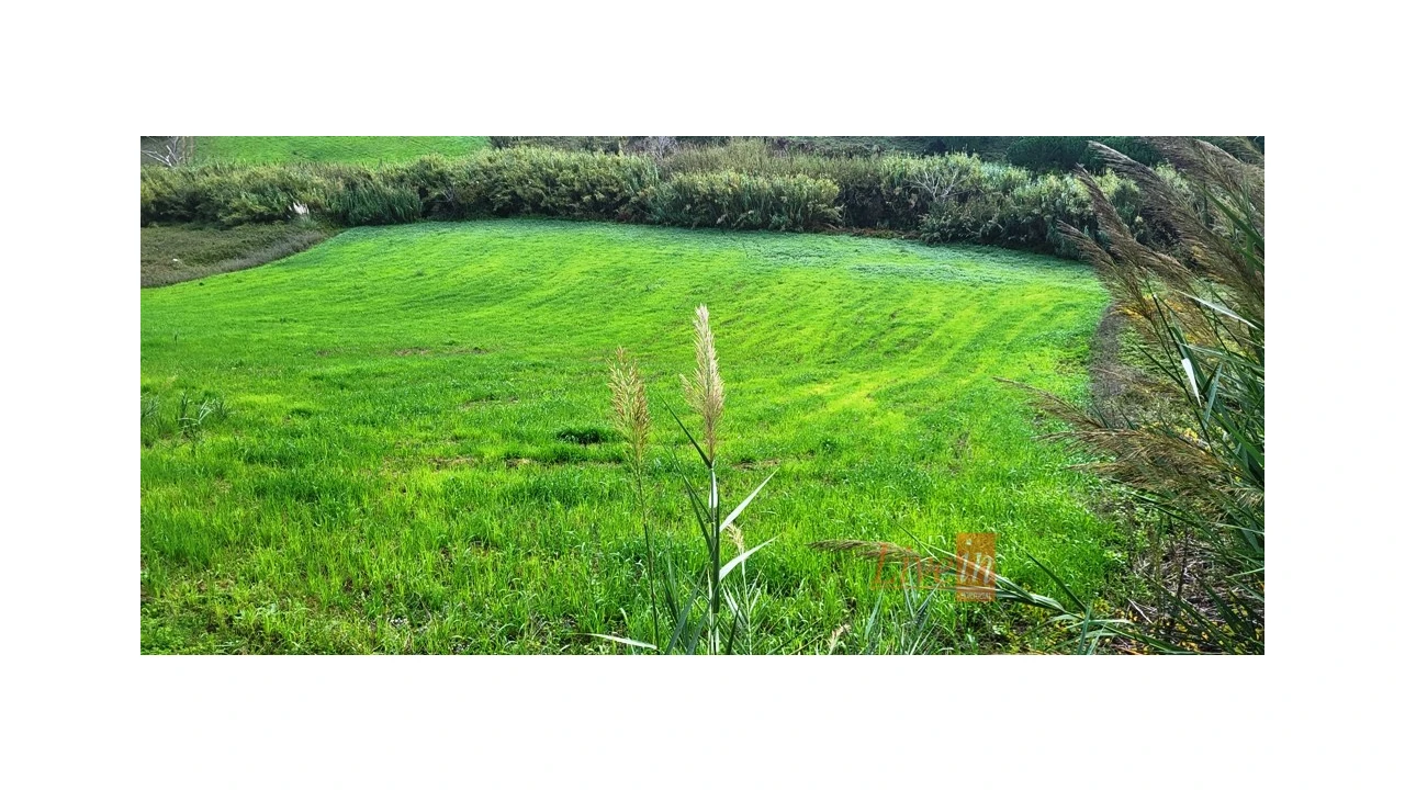 Terreno Agricola ou Rústico para Venda em Enxara do Bispo, Gradil e Vila Franca do Rosário Foto 5