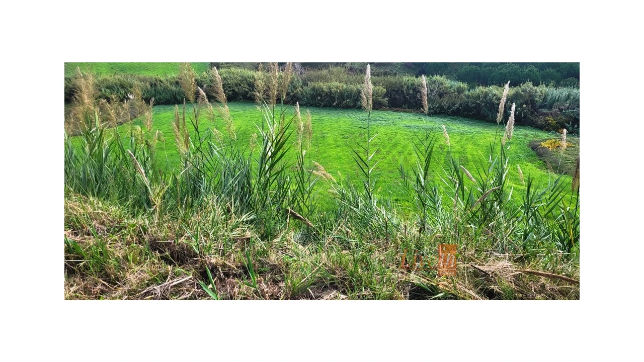 Terreno Agricola ou Rústico para Venda em Enxara do Bispo, Gradil e Vila Franca do Rosário Foto 6