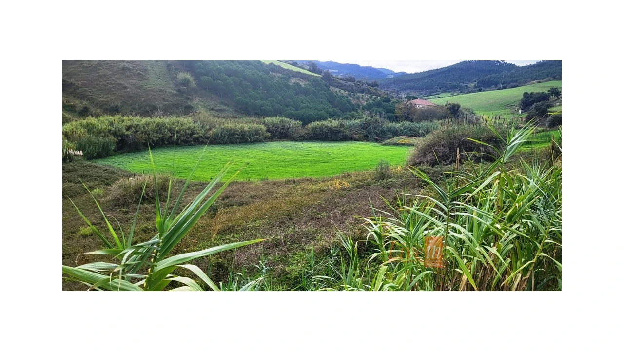 Terreno Agricola ou Rústico para Venda em Enxara do Bispo, Gradil e Vila Franca do Rosário Foto 7
