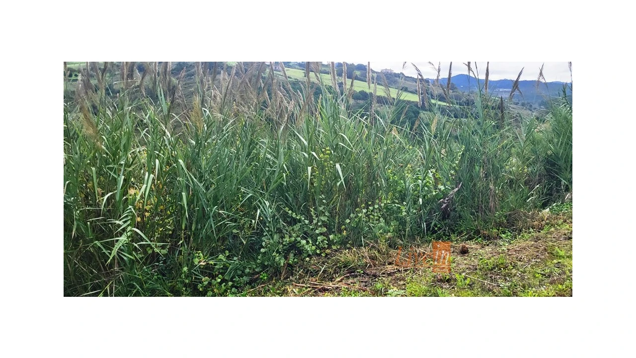 Terreno Agricola ou Rústico para Venda em Enxara do Bispo, Gradil e Vila Franca do Rosário Foto 9