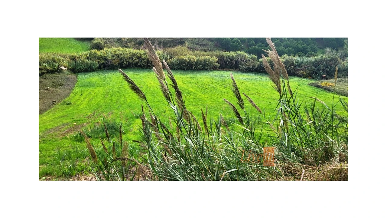 Terreno Agricola ou Rústico para Venda em Enxara do Bispo, Gradil e Vila Franca do Rosário Foto 11