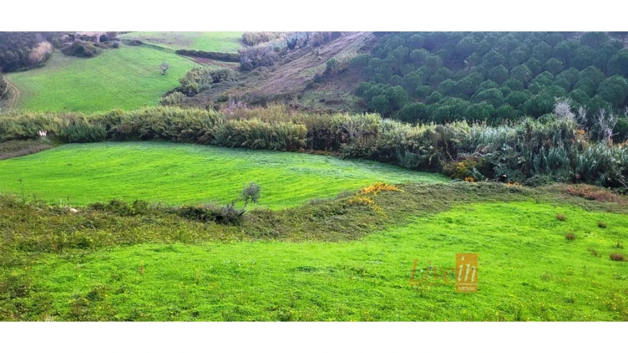 Terreno Agricola ou Rústico para Venda em Enxara do Bispo, Gradil e Vila Franca do Rosário Foto 3
