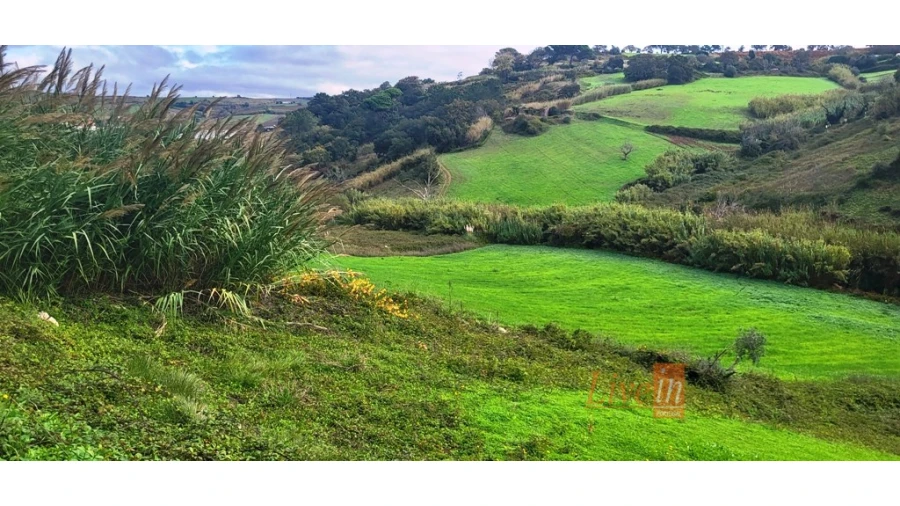 Terreno Agricola ou Rústico para Venda em Enxara do Bispo, Gradil e Vila Franca do Rosário Foto 1