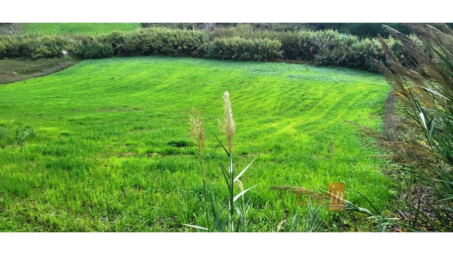 Terreno Agricola ou Rústico para Venda em Enxara do Bispo, Gradil e Vila Franca do Rosário Foto 5