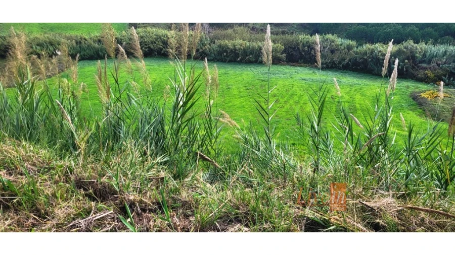 Terreno Agricola ou Rústico para Venda em Enxara do Bispo, Gradil e Vila Franca do Rosário Foto 6