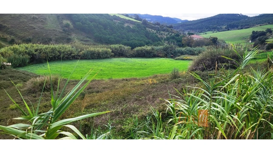Terreno Agricola ou Rústico para Venda em Enxara do Bispo, Gradil e Vila Franca do Rosário Foto 7