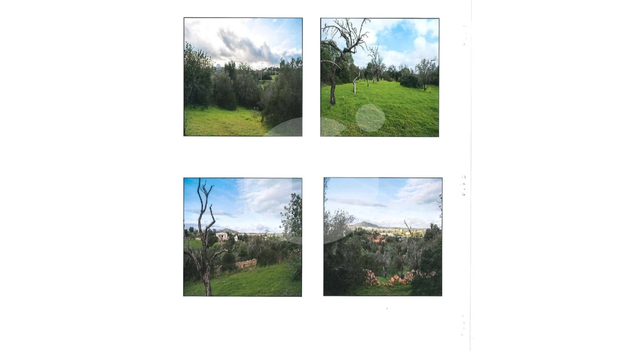 Terreno Agricola ou Rústico para Venda em Moncarapacho e Fuseta Foto 5