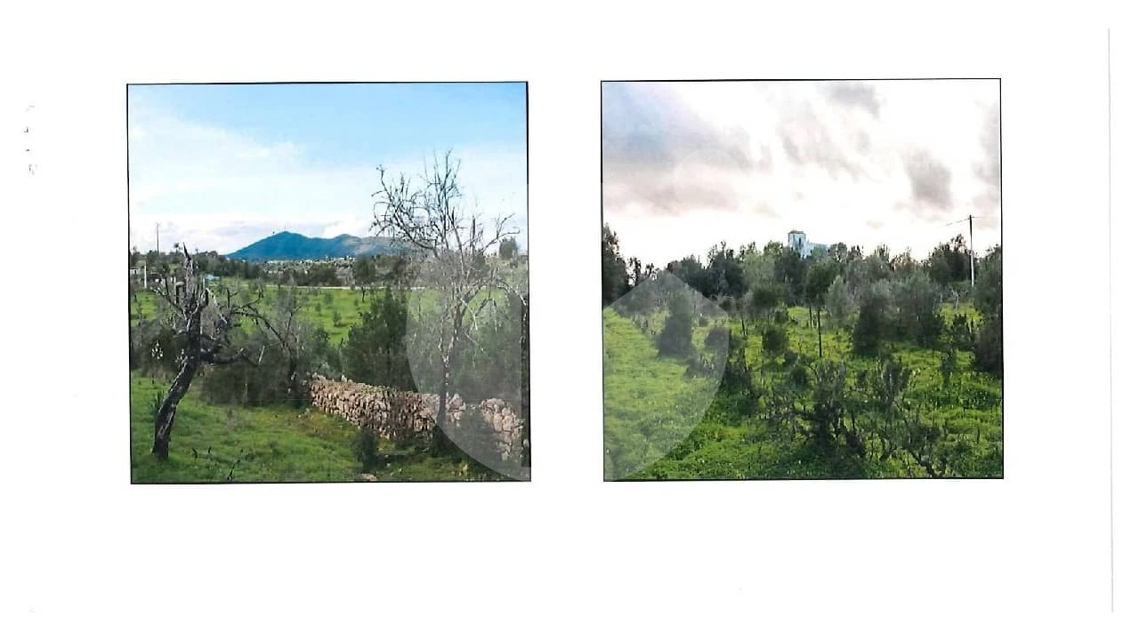 Terreno Agricola ou Rústico para Venda em Moncarapacho e Fuseta Foto 6