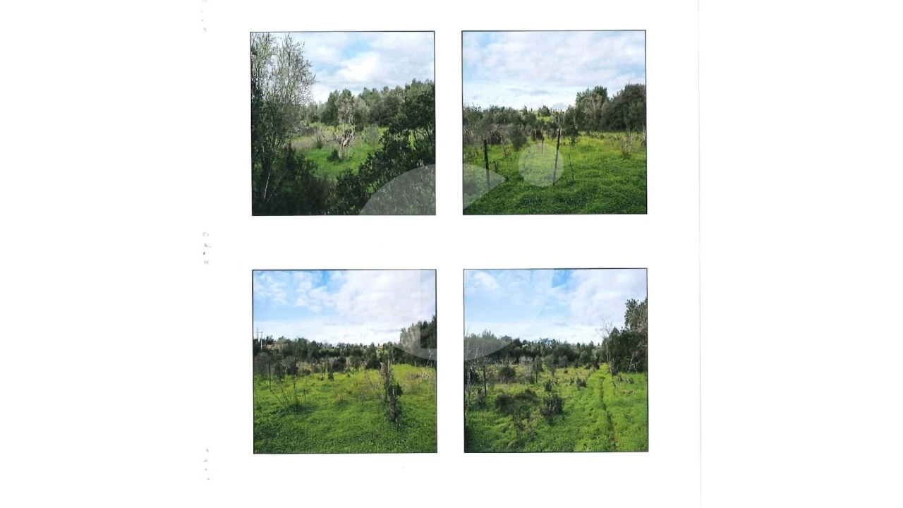 Terreno Agricola ou Rústico para Venda em Moncarapacho e Fuseta Foto 7