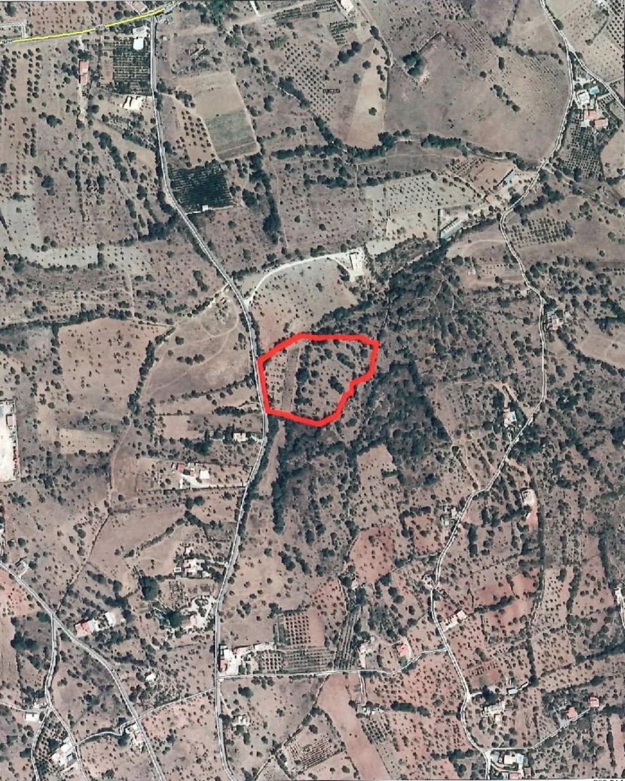Terreno Agricola ou Rústico para Venda em Moncarapacho e Fuseta Planta 4