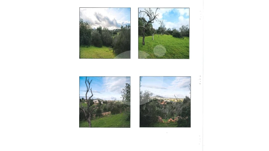 Terreno Agricola ou Rústico para Venda em Moncarapacho e Fuseta Foto 5