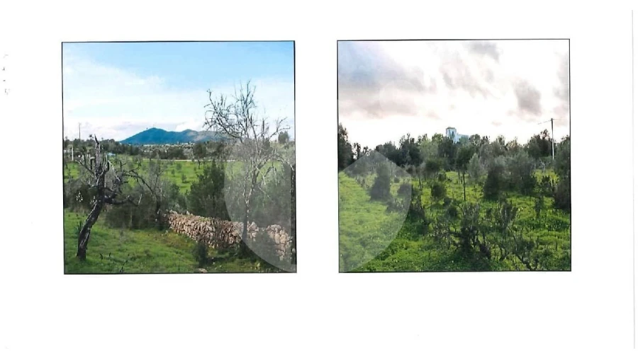 Terreno Agricola ou Rústico para Venda em Moncarapacho e Fuseta Foto 6