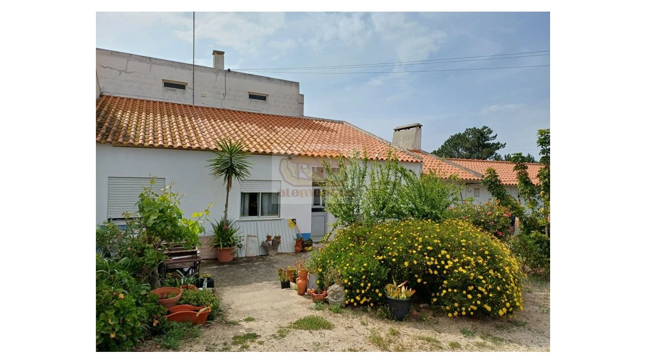 Quinta T13 para Venda em Melides Foto 10