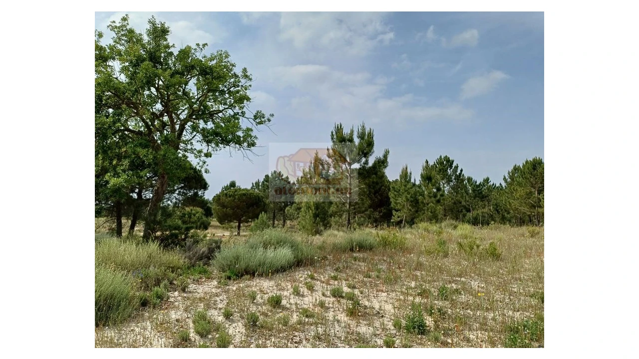 Quinta T13 para Venda em Melides Foto 13