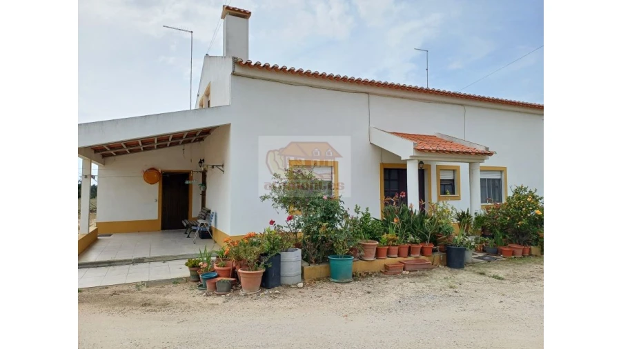 Quinta T13 para Venda em Melides Foto 1