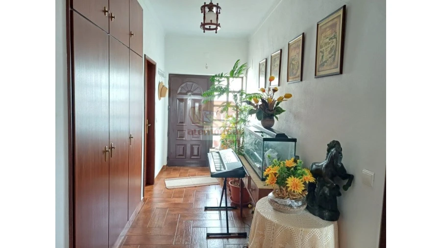 Quinta T13 para Venda em Melides Foto 3