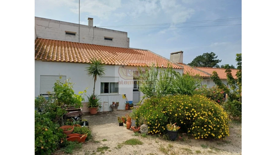 Quinta T13 para Venda em Melides Foto 10