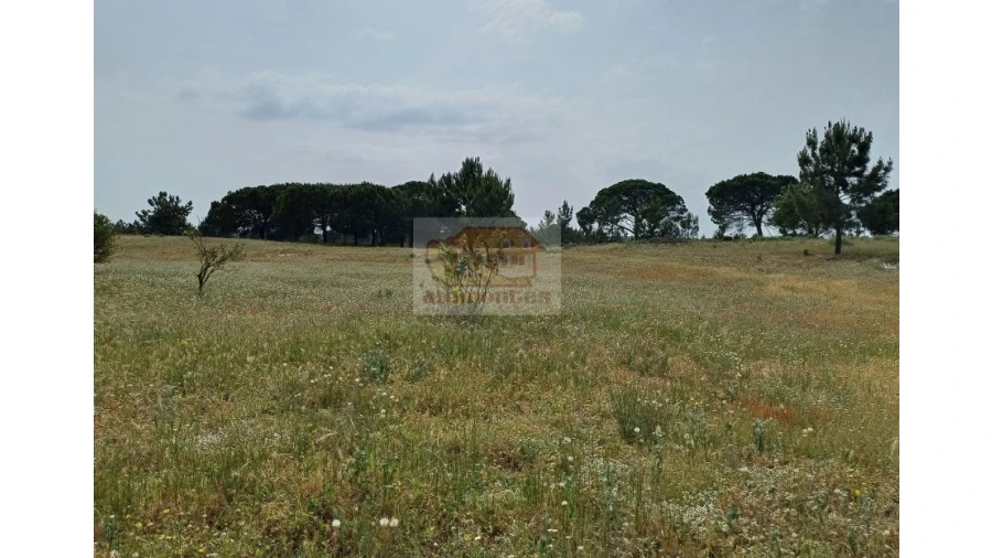 Quinta T13 para Venda em Melides Foto 14