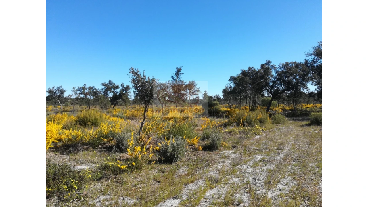 Terreno Misto para Venda em Carvalhal Foto 2
